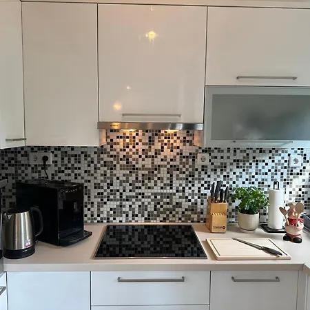 Stylish Near Train-station Parking Extra * Salisburgo